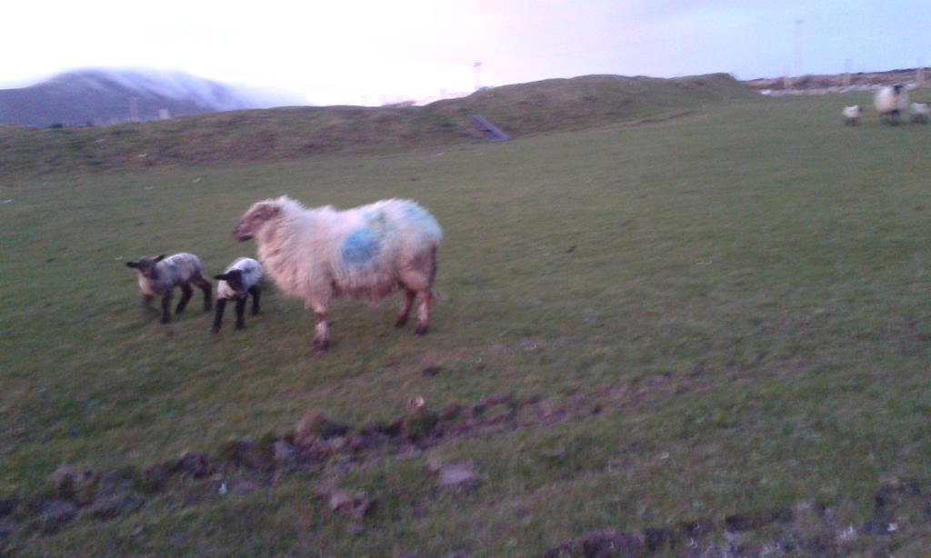 Achill West Coast House Bed and Breakfast Dooagh Buitenkant foto