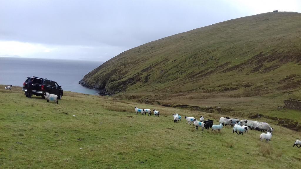Achill West Coast House Bed and Breakfast Dooagh Buitenkant foto