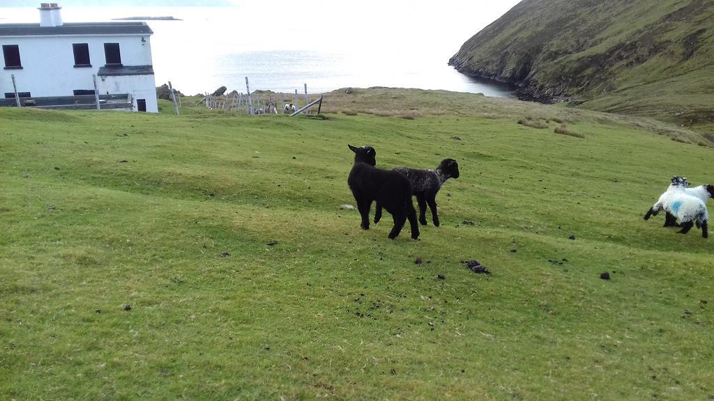 Achill West Coast House Bed and Breakfast Dooagh Buitenkant foto