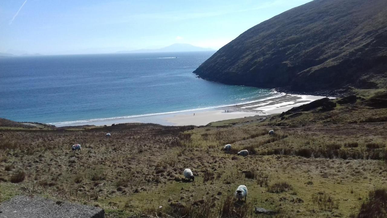 Achill West Coast House Bed and Breakfast Dooagh Buitenkant foto